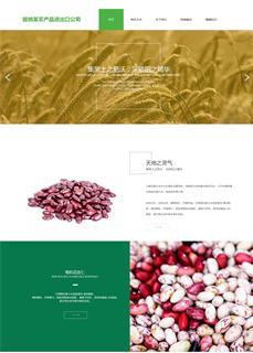 瀚數(shù)案例-版納某農(nóng)產(chǎn)品進出口公司